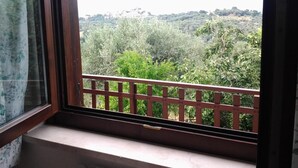 A balcony with a wooden railing overlooking a green landscape with trees and buildings in the distance. - Agriturismo Norianino (Manciano)