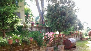 A garden with a brick wall, potted plants, and a wooden barrel. - Agriturismo Norianino (Manciano)