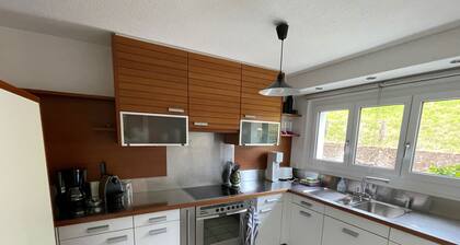 Maison avec jardin et vues fantastiques Ă Meggen