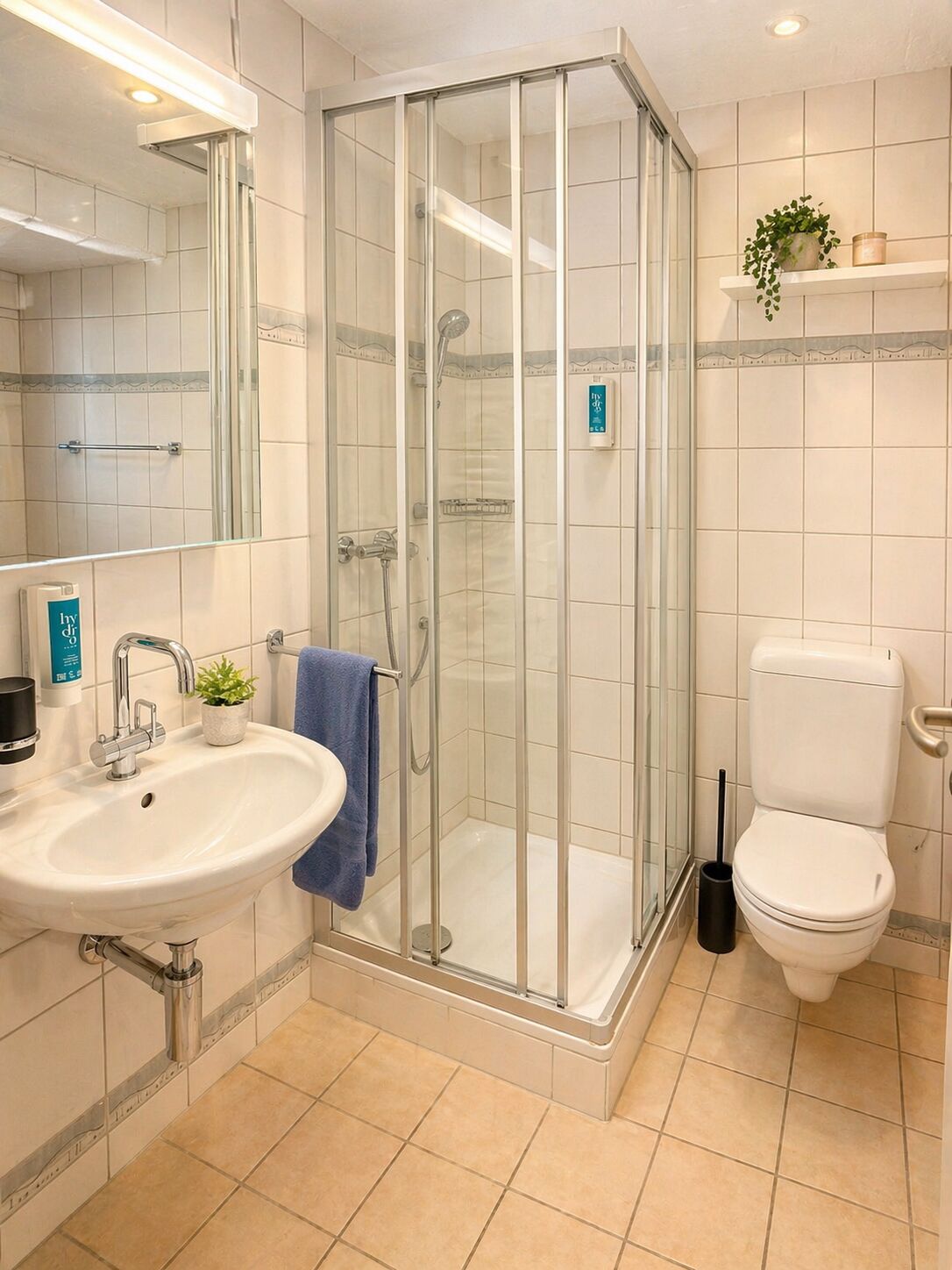 Bathtub, hair dryer, towels, soap