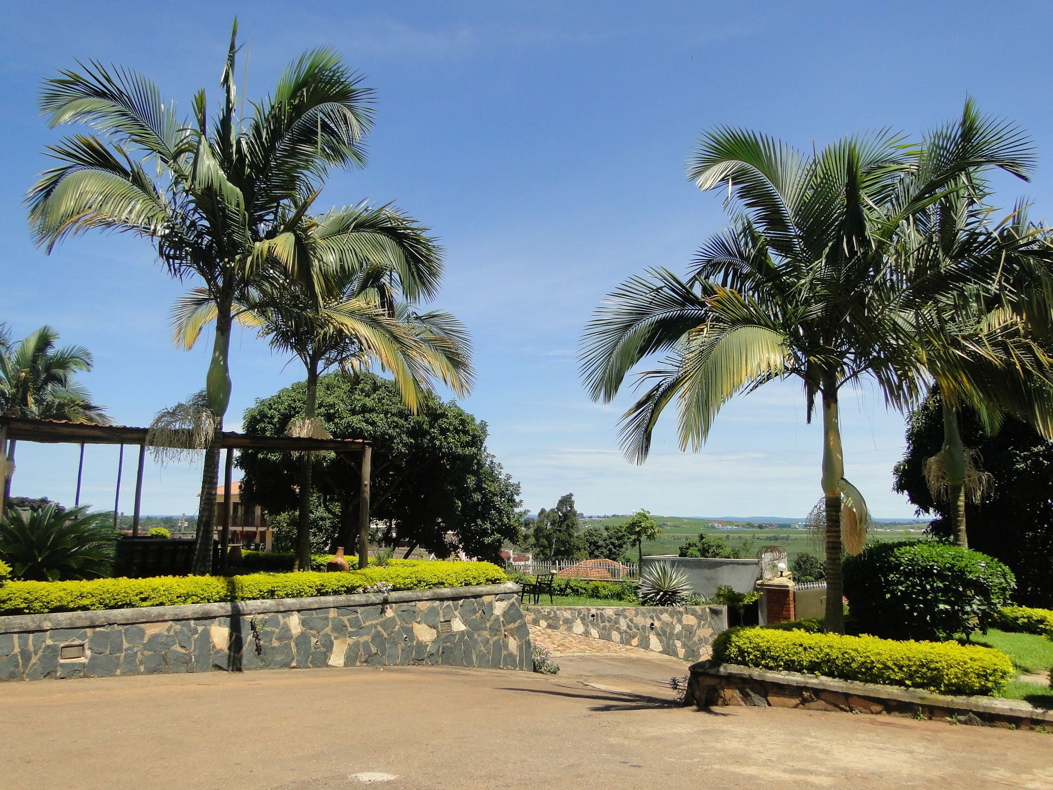 Photo - Carpe Diem Guesthouse