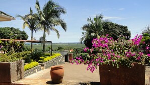 A terrace with a view of a lush landscape, including palm trees and a distant horizon.