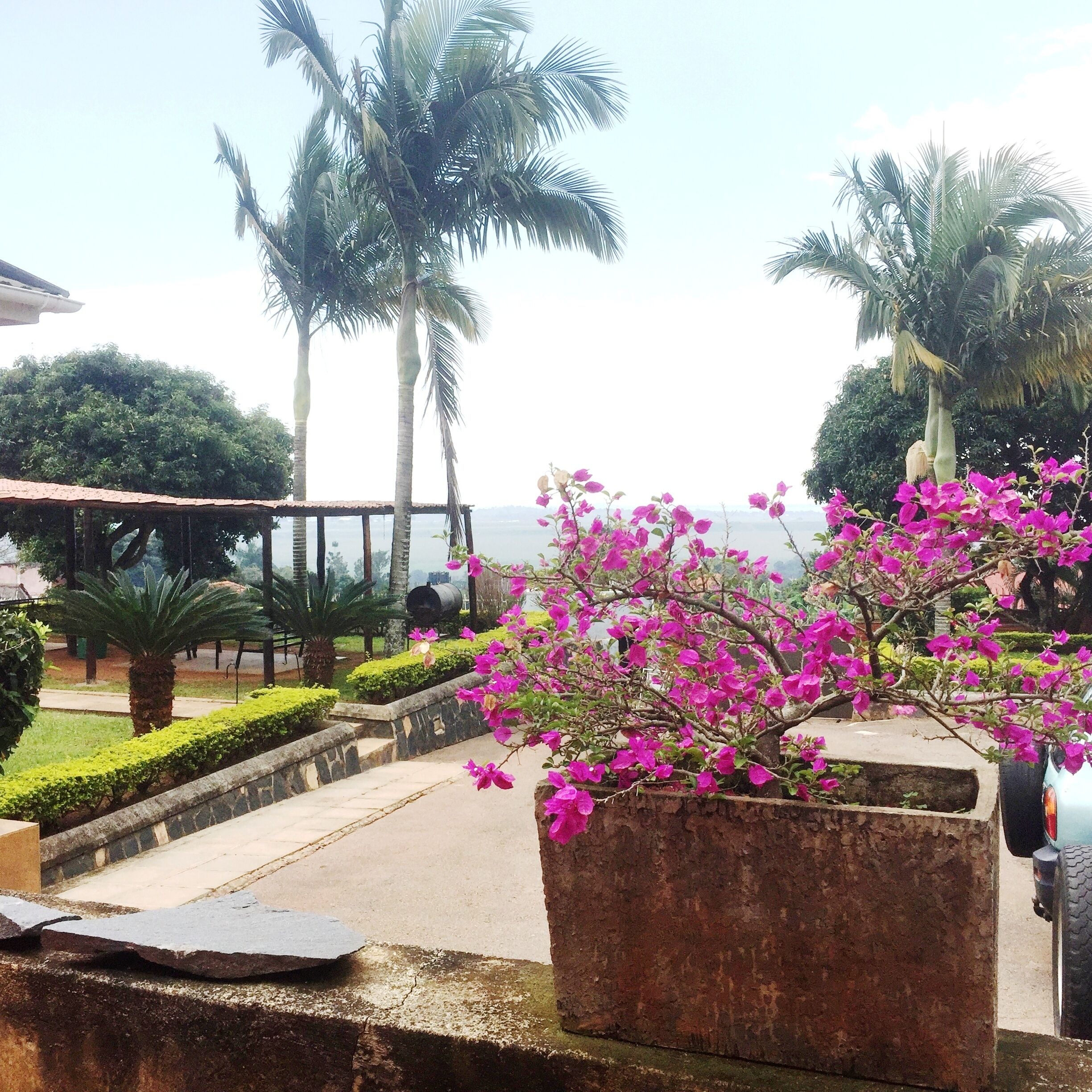 Photo - Carpe Diem Guesthouse