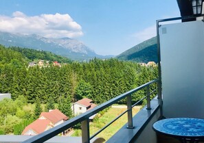 Deluxe Apartment | Balcony view - Apartment Sofia (Sinaia)