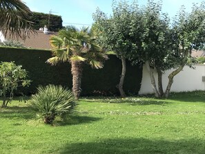 Área da propriedade