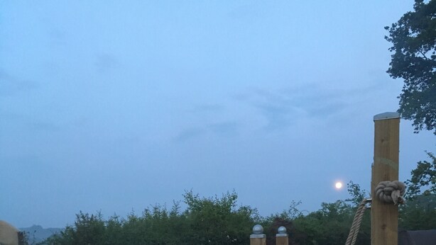 Unclassified image, 1 of 35, button - Stud Farm (Lymington)