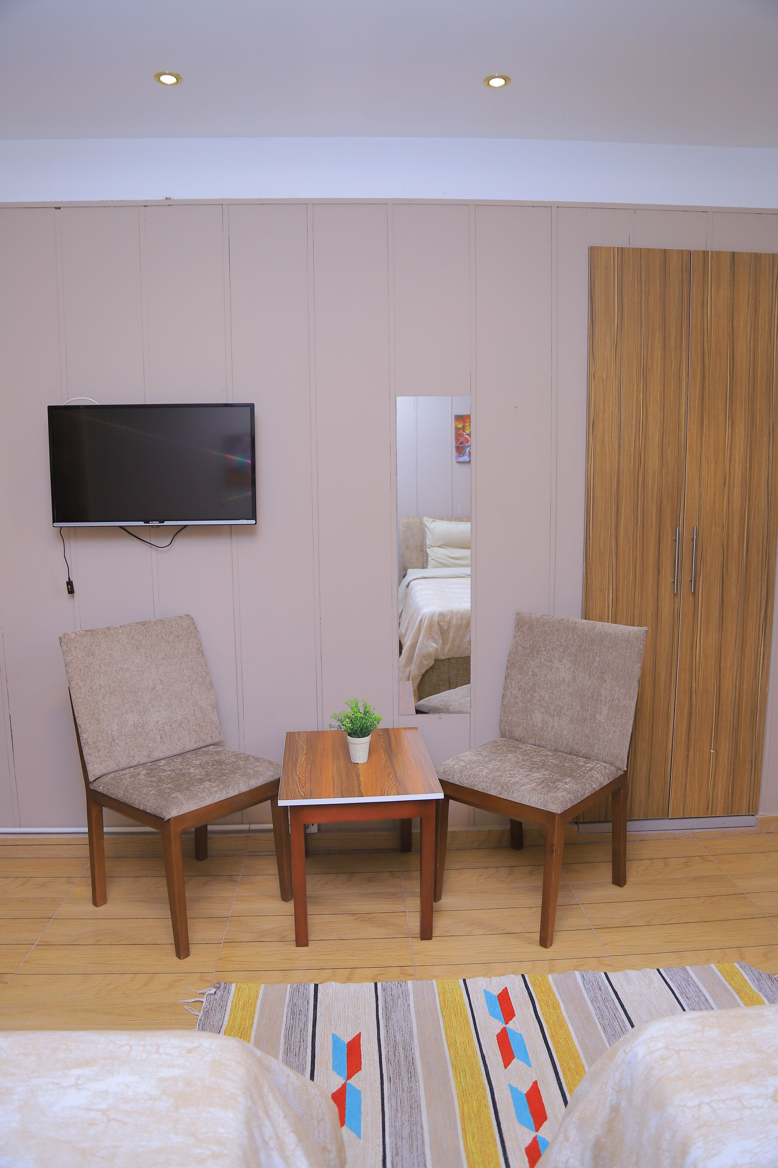 Habitación de hotel con dos sillas, una mesita con una planta, un televisor montado en la pared y un armario grande.