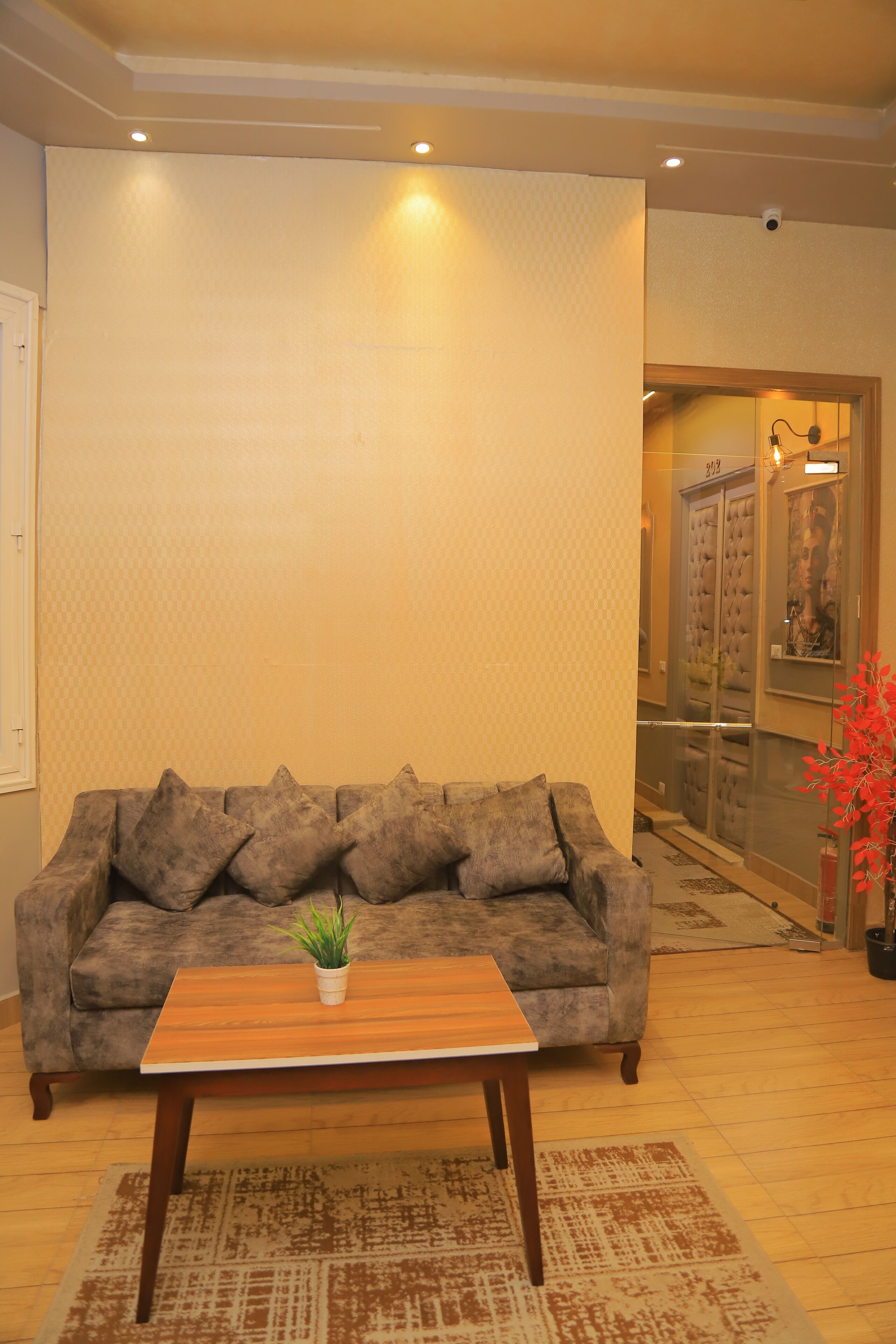 Foto - Holy Sheet Hostel