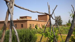 Property grounds - Dar Tasmayoun (Marrakech)