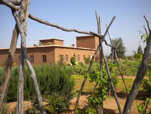 Property grounds - Dar Tasmayoun (Marrakech)