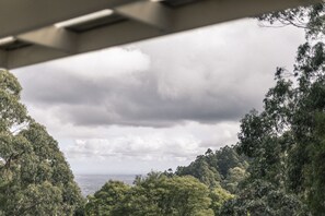 Vista desde debajo de un puente, con una densa arboleda y un paisaje urbano lejano.