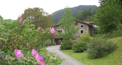 Casa Rural Goikola