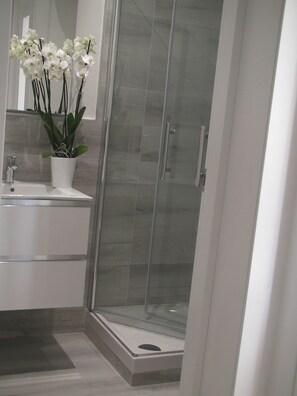 Regadera, secadora de cabello, bidet, papel de baño 