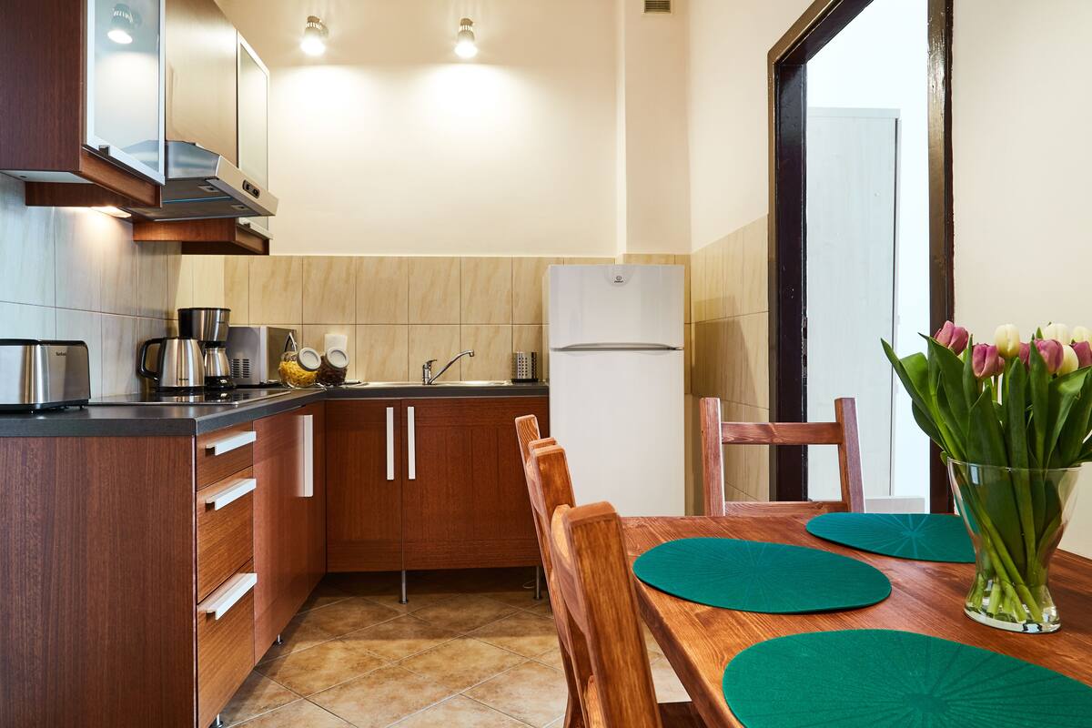 City appartement, 2 slaapkamers | Privékeuken | Een koelkast, een magnetron, een kookplaat