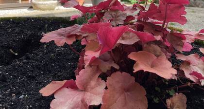 HĂŽtel de la Sologne