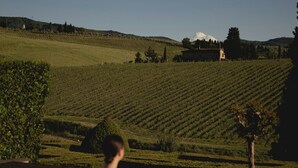 A person relaxing on a striped lounge chair by a pool with a vineyard in the background. - Casa Ruffino (Bagno a Ripoli)