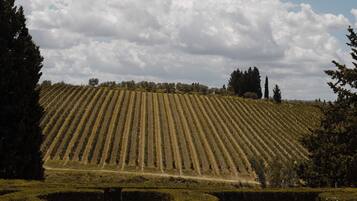 Kauden mukainen ulkouima-allas, katolla sijaitseva uima-allas