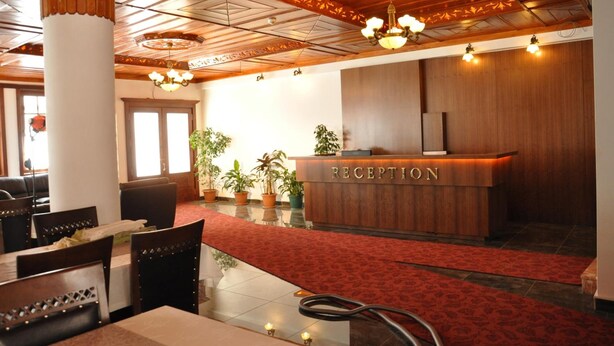 A reception area with a wooden reception desk, potted plants, and a red carpet.