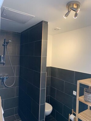 Shower, rainfall showerhead, hair dryer, towels - Maison d'Istrie (Brussels)