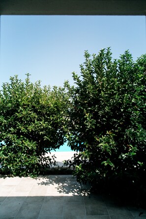 Garden view - San Marco Antico Relais (Bitonto)