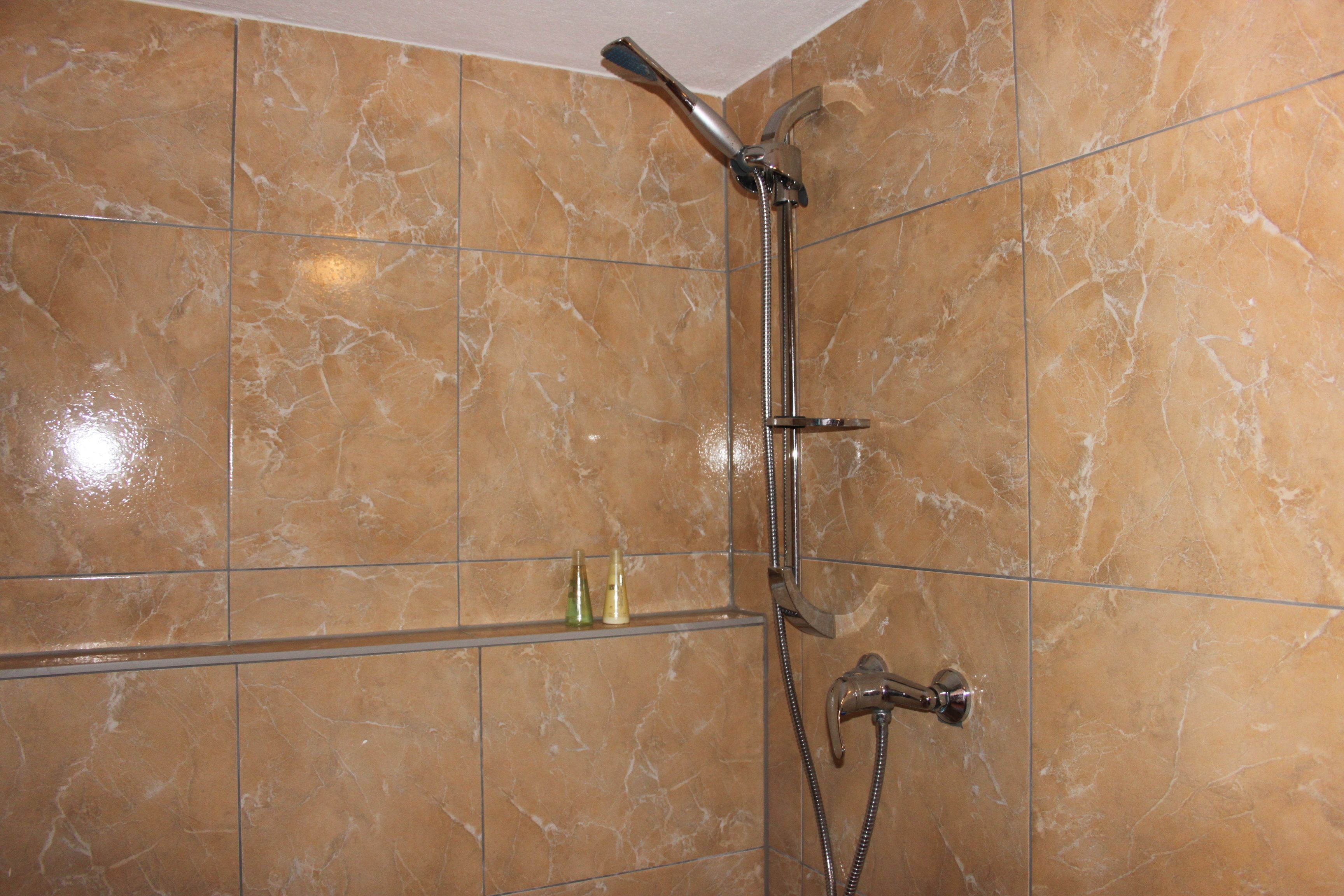 Apartment | Dusche im Bad