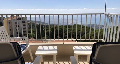 Splendid Valley & Sea View