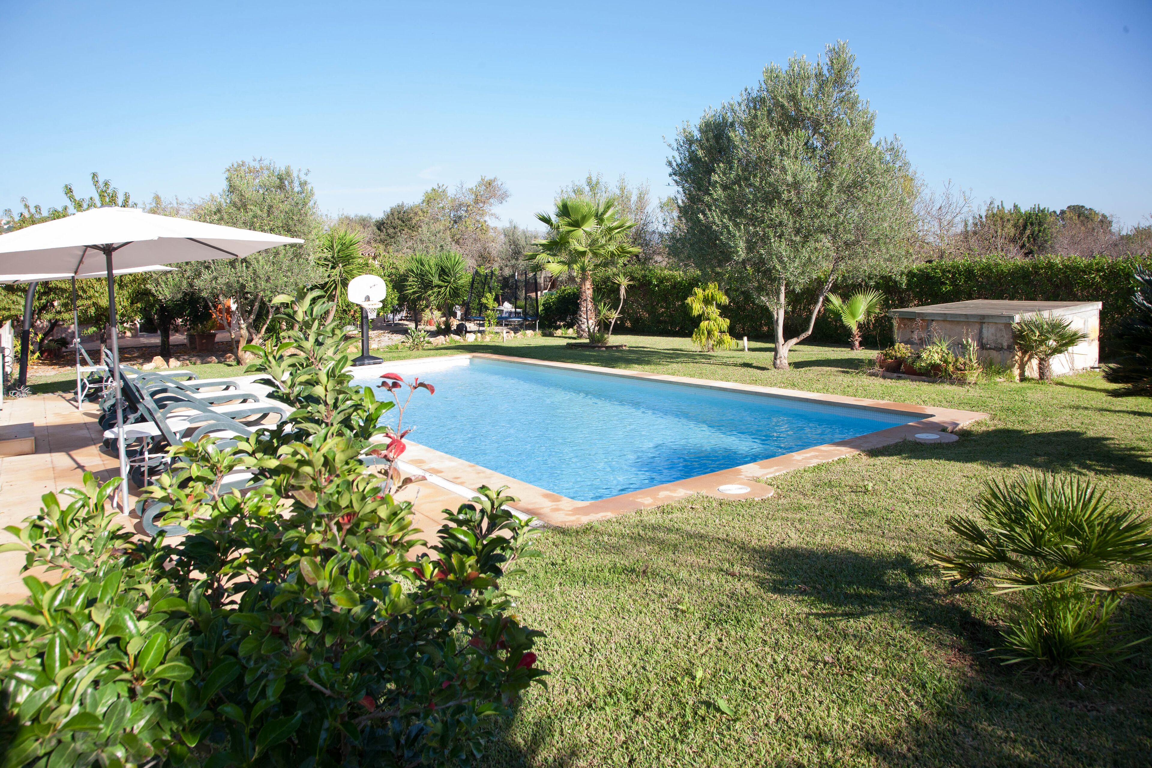 A rectangular swimming pool surrounded by a well-maintained lawn, with a few trees and a small shed in the background.