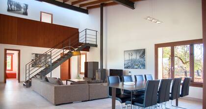 Modern house with large pool