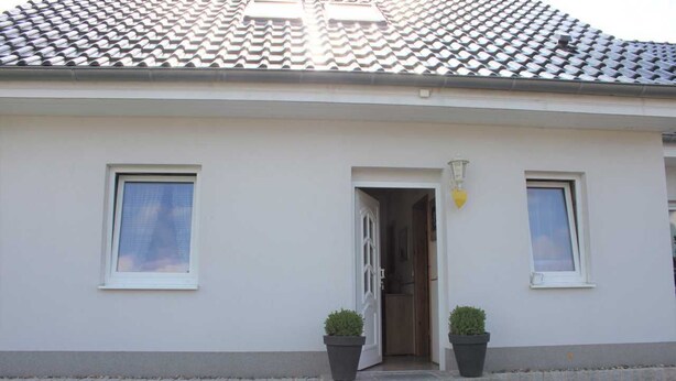 A building with a tiled roof, two windows, a door, and two potted plants.