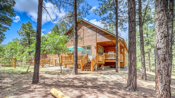 Une cabane en bois dotée d’une véranda et d’un escalier menant à une terrasse, le tout entouré de grands pins.