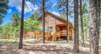 Pagosa Haus mit National Forest Access