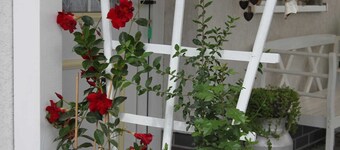 Ferienhaus Windspiel