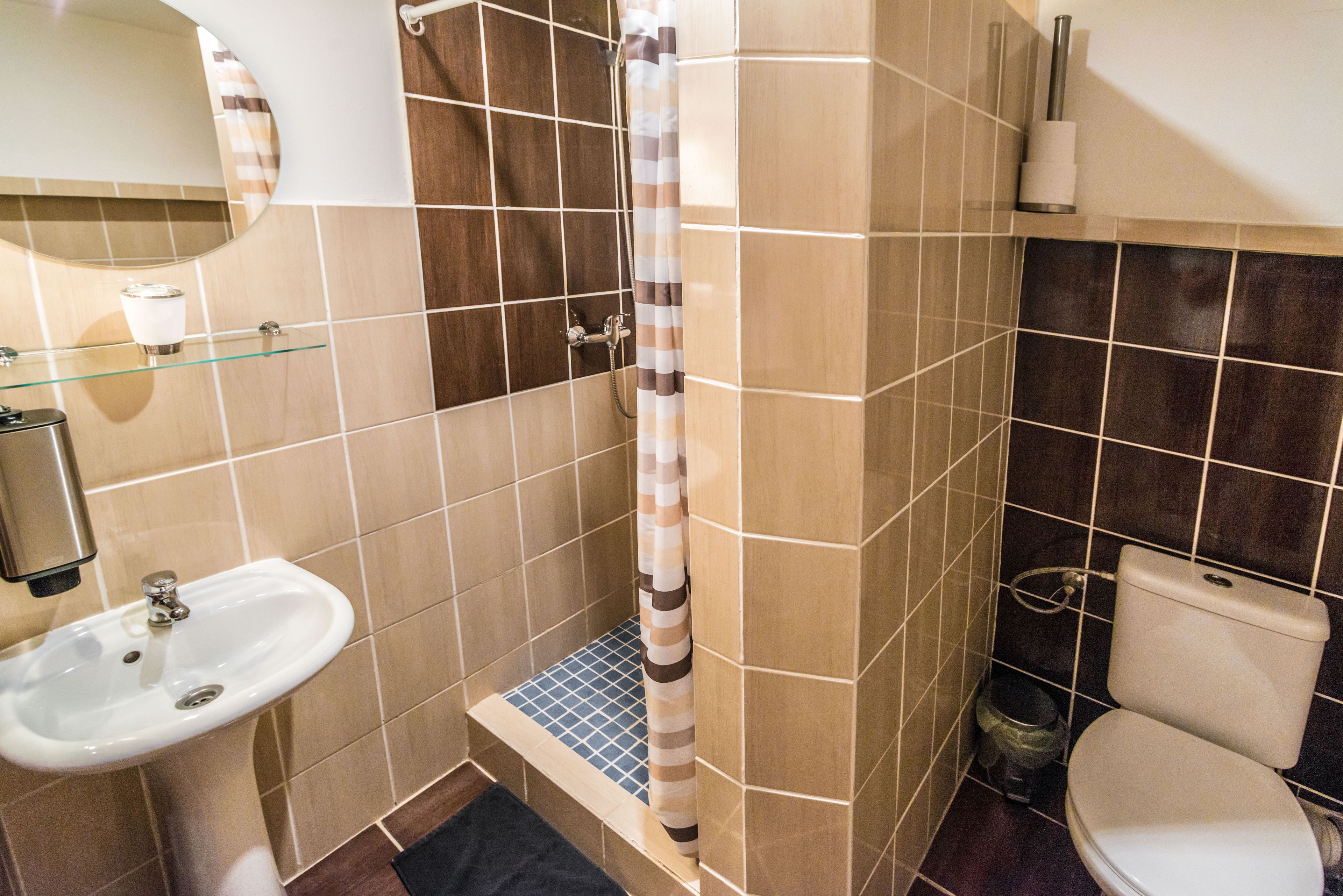 A bathroom with a sink, toilet, shower, and a glass shelf.