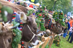 Children’s area - Hotel Oyer Hof – selbst Service (Oy-Mittelberg)