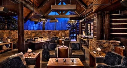 Bachelor Gulch Ritz-carlton 1 Bedroom Mountain Residence With Ski in, Ski out Access, Hot Tub, and Full Service Spa