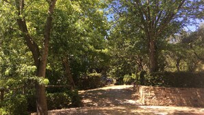 Eine Steinsäule und ein Feldweg, der durch ein bewaldetes Gebiet führt.