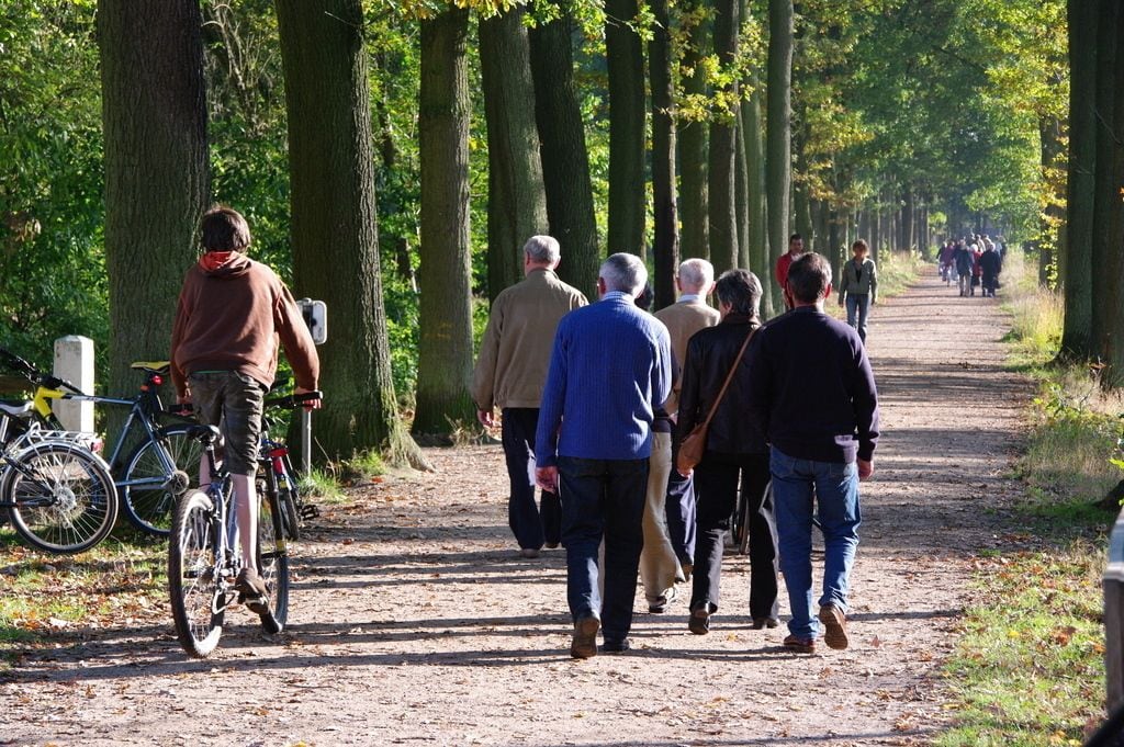 A tree-lined path with people walking and cycling.