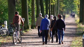 A tree-lined path with people walking and cycling.