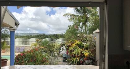 La Suite Odile Piscine