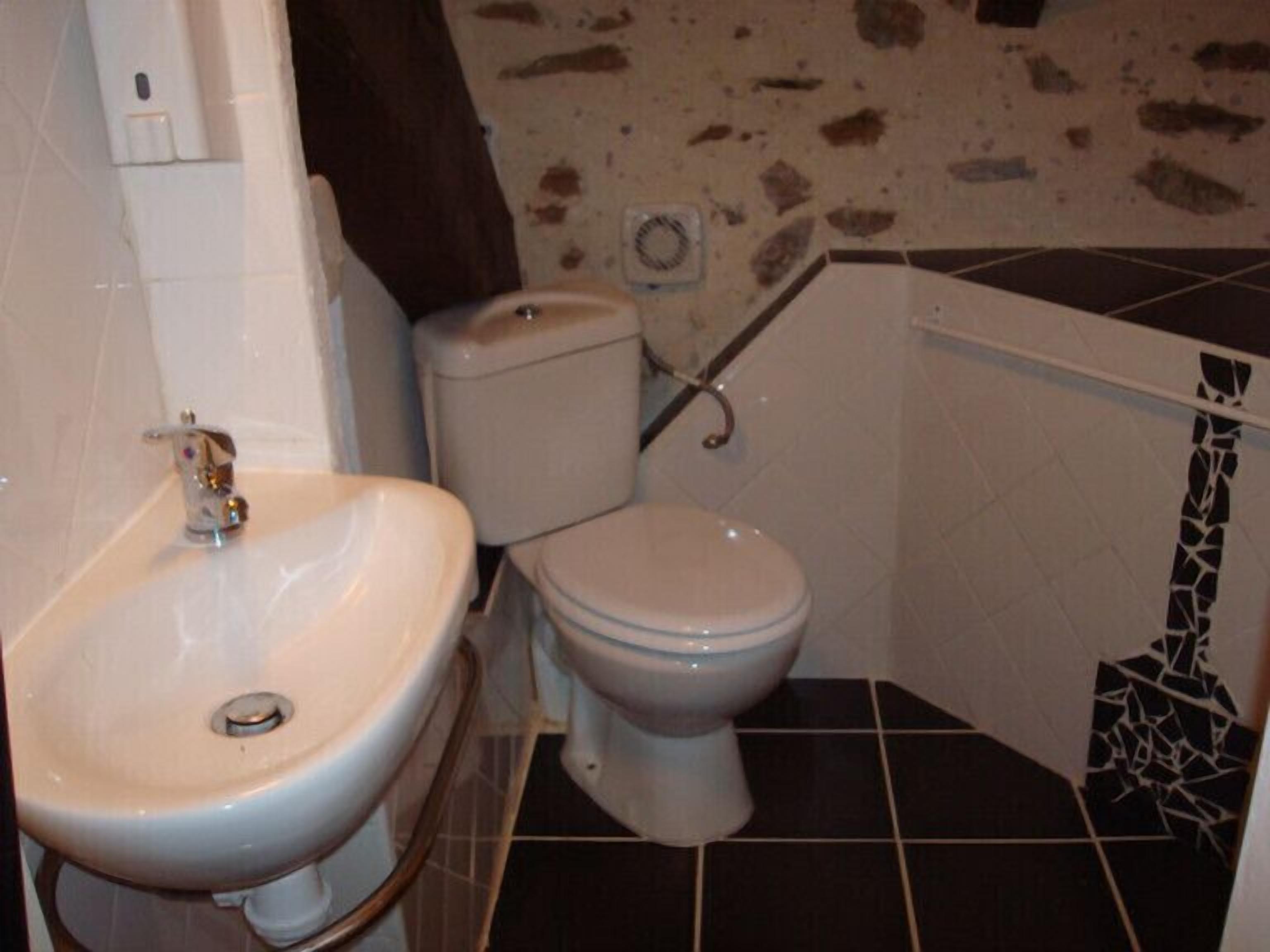 A bathroom with a white sink, toilet, and a shower area.