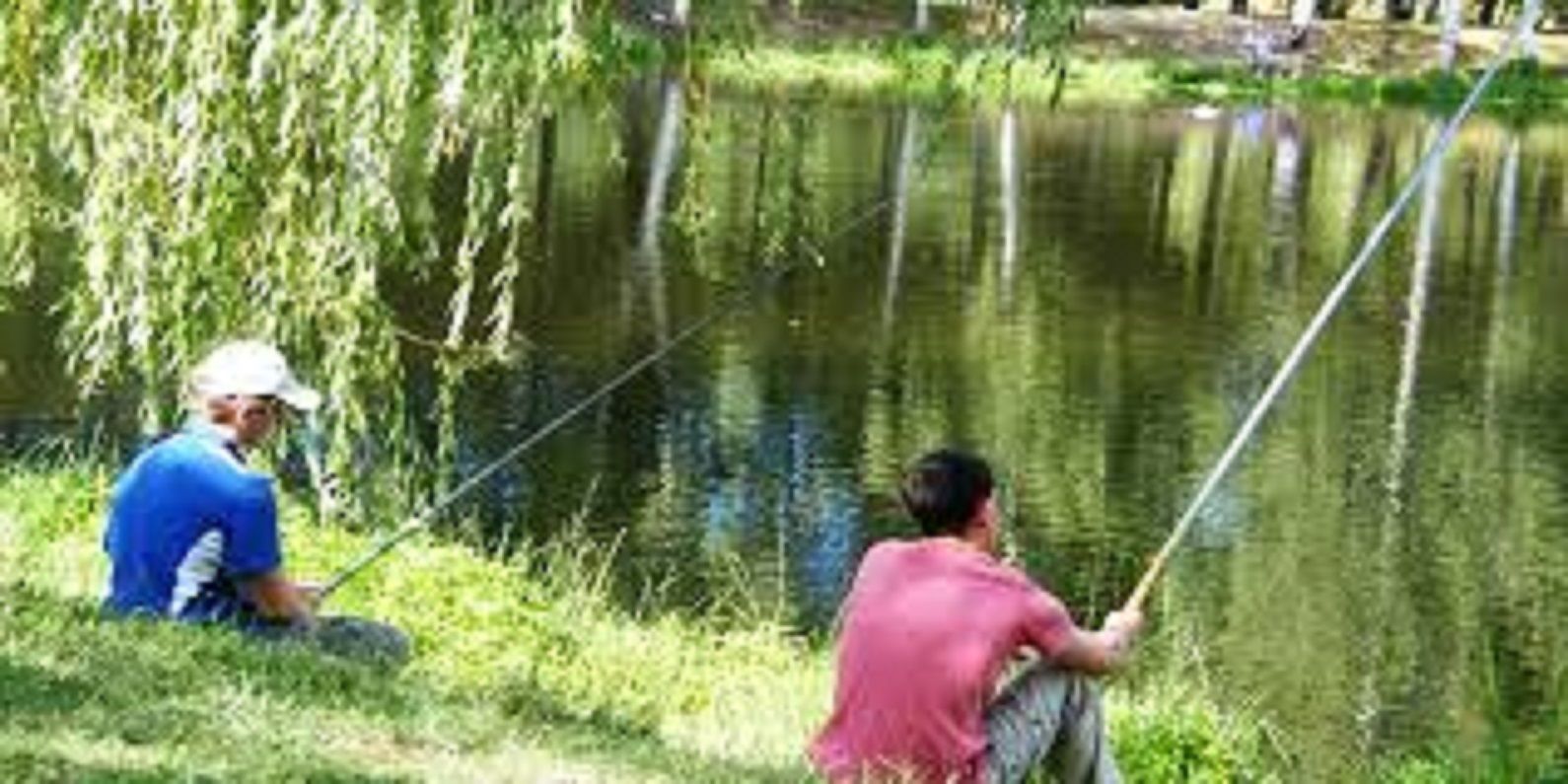 Two people fishing by a calm pond surrounded by greenery.