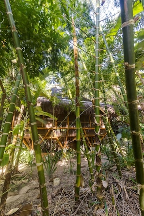 Fachada del alojamiento