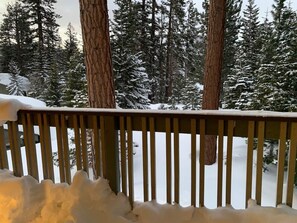 Property grounds - 2-bedroom and loft condo with close access to Blue Line Bus. (Mammoth Lakes)