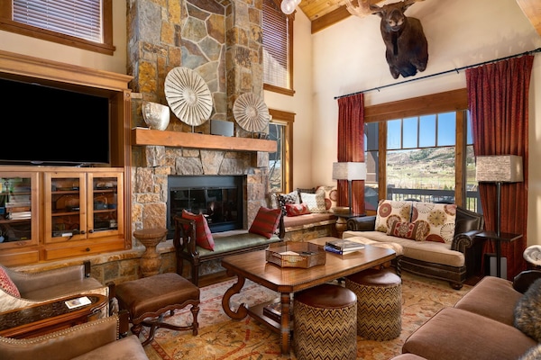 TV, fireplace, DVD player, video library