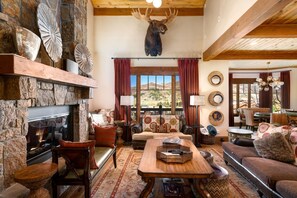 TV, fireplace, DVD player, video library