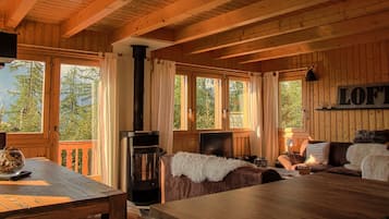 TV, fireplace, DVD player