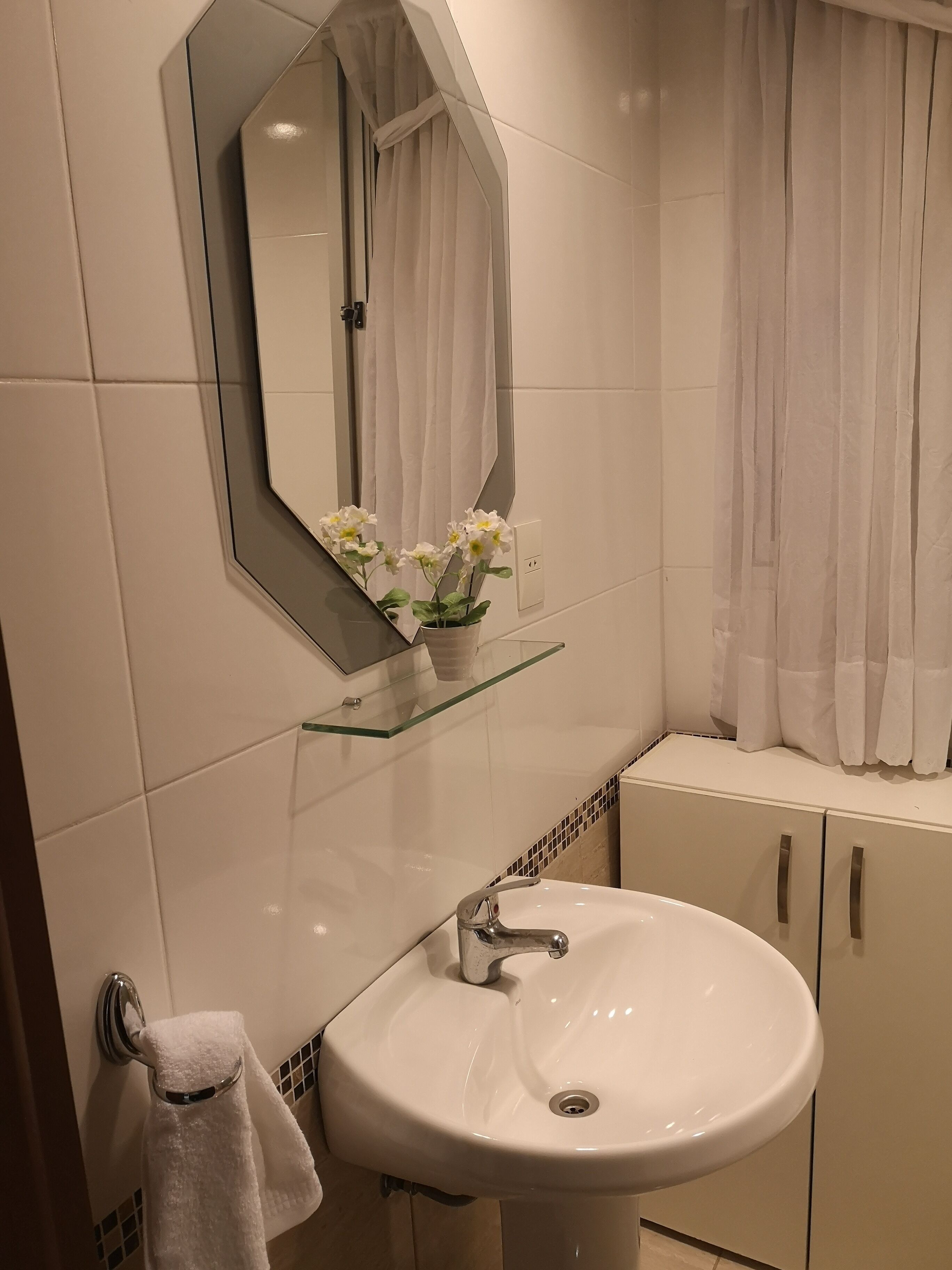 business apartment | bathroom sink
