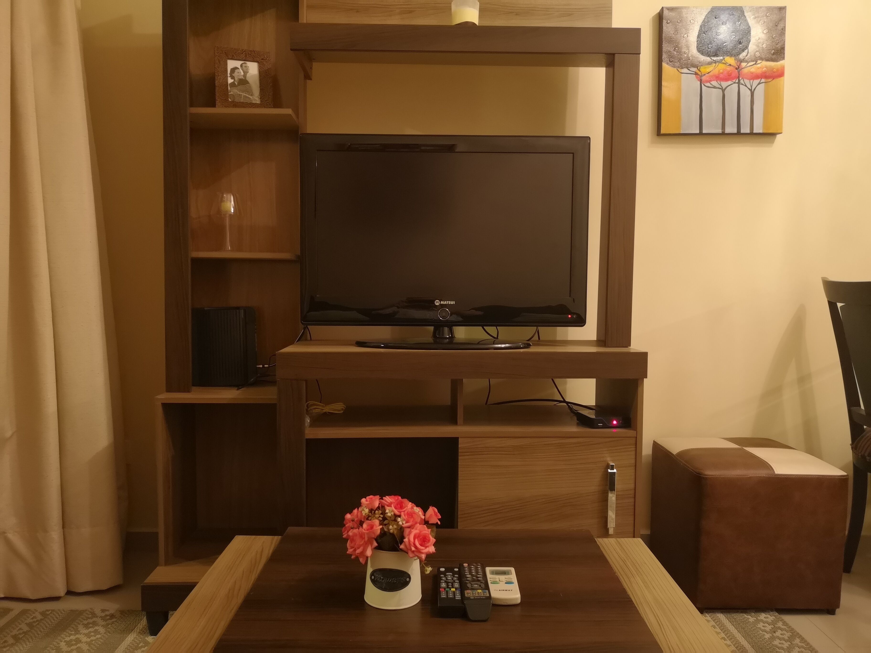 business apartment | television