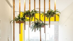 Uma área de recepção com design moderno, com balcão de atendimento, sofá amarelo e plantas penduradas.