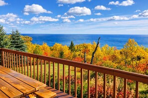 Unclassified image, 3 of 40, button